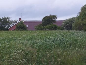Lilleledgaard studio, Ringkøbing (foto 3)