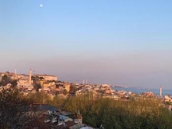 Reggae, Istanbul (photo 5)