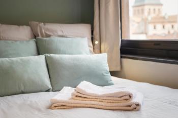 Hypercentre, Calme, Cosy, Parking Gratuit, Netflix Gratuit, Toulouse (photo 5)