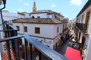 Rosas en la Balconada & Apartment with Parking in Córdoba Historic Center, Córdoba (fotografie 4)