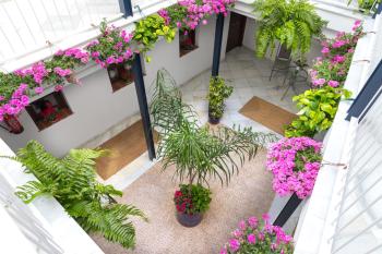 Casa Los Cuatro Soles, Córdoba (Foto 2)