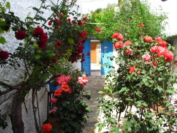 Amazon Antique, Selcuk (fotografie 5)