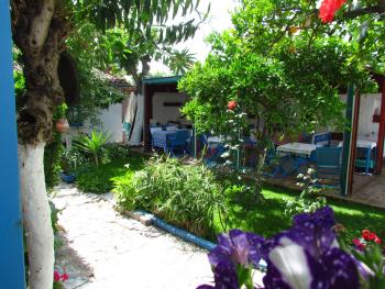 Amazon Antique, Selcuk (fotografie 4)