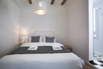 Tendency Apartments - Sagrada Familia, Barcelona (foto 2)