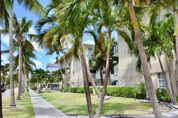 Suites at Coral Resorts, Miami (photo 4)