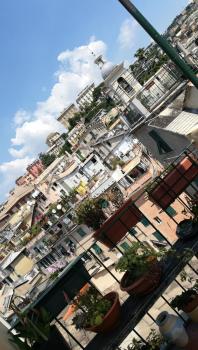 IL GECO, Genua (zdjęcie 5)