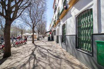 Alohamundi Alameda, Sevilla (Foto 3)