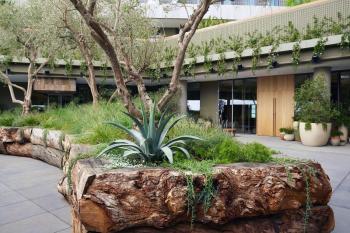 1 Hotel West Hollywood, Los Angeles (zdjęcie 4)