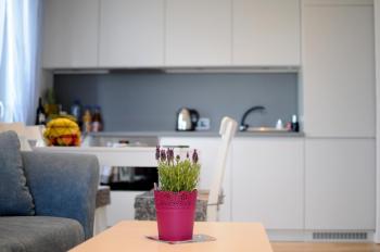 APARTAMENT LIPSKA 4, Cracovie (photo 3)