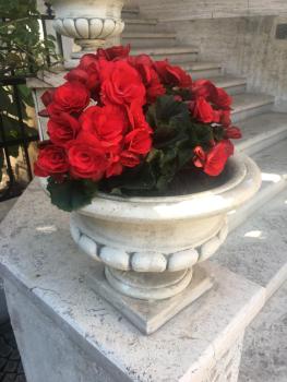 Suite Oriani, Roma (foto 5)