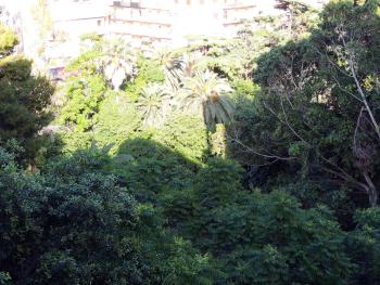 In Itinera, Palermo (zdjęcie 5)