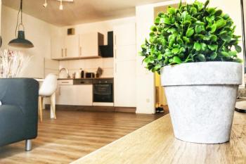 Gemütliches Apartment mit Balkon und Tiefgaragenstellplatz, Wuppertal (Foto 4)