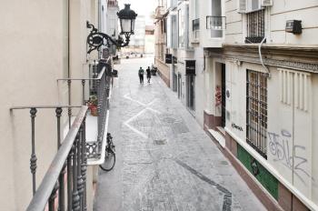 Del parque flats letran, Málaga (fotografie 4)