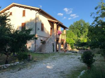 Arcadia, Spello (photo 2)