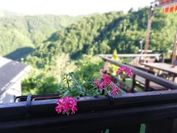 Rodopsko Katche, Alamovtsi (фото 5)