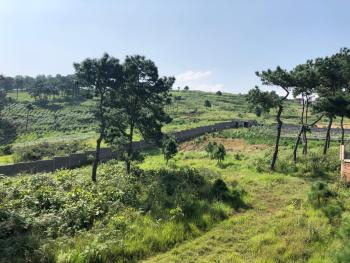 Da Blanche, Shillong (foto 3)