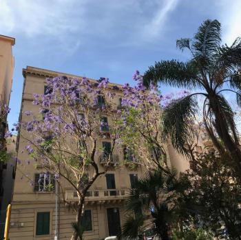 B&B Da Bibi, Palermo (fotografie 2)
