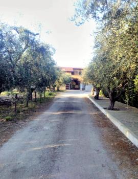 La casetta, Ortona (zdjęcie 5)