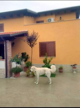 La casetta, Ortona (zdjęcie 4)