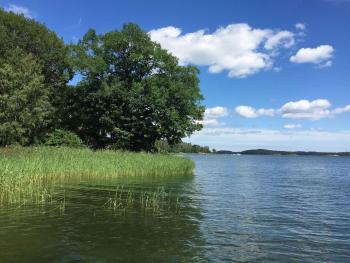 Villa Nyborg - By the Sea, Stockholm (photo 5)