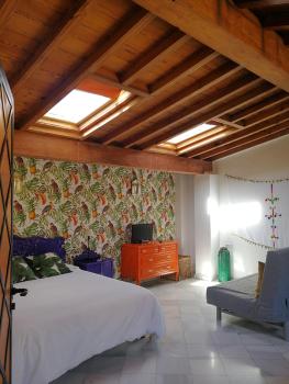 Alh Patio Apartamentos, Granada (foto 4)