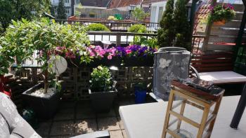 Amsterdam Roof Terrace B&B, Amsterdam (Foto 2)