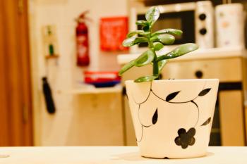 Charming Home in Republic street, La Valeta (foto 2)