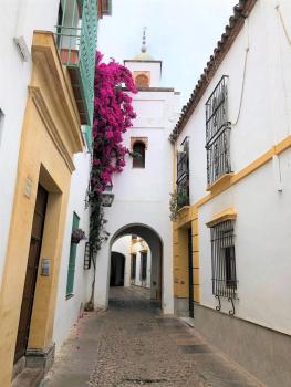 Entre 2 Mezquitas Apartamento 8, Кордова (фото 2)