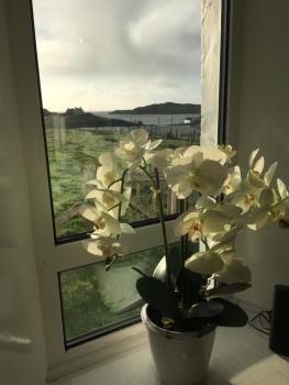Harris White Cottage, Rodel (foto 2)