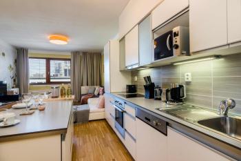 Luxury Center APT Garage Parking by Michal&Friends, Praha (fotografie 3)