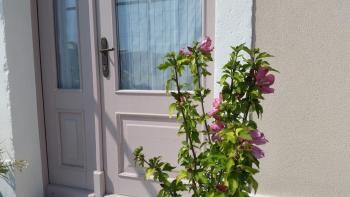 Vila Flora, Sečovlje (foto 3)