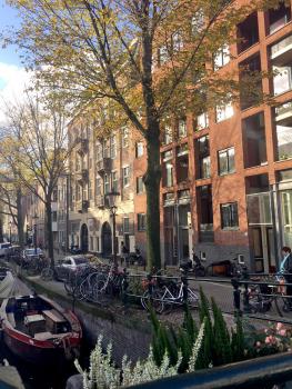 B&B Looier, Amsterdam (zdjęcie 2)
