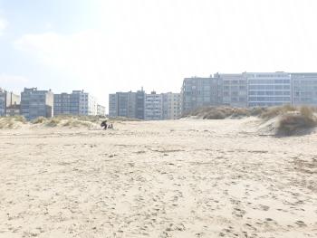 Oostduinkerke - Appartement met zeezicht en 2 parkeerplaatsen, Oostduinkerke (foto 3)