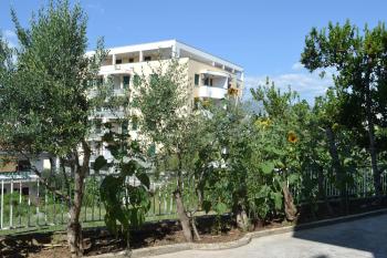 Sunflower, Split (photo 3)
