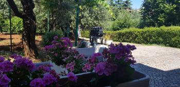 Clara 3, Poreč (zdjęcie 5)