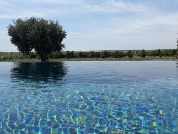 Terras - Agroturismo & Vinhos, Beja (foto 4)