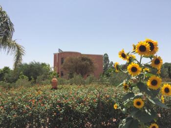 Riad Hamdani, Casablanca (foto 4)