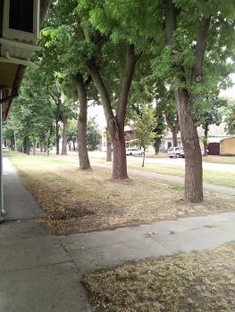 Citadela, Sombor (foto 3)