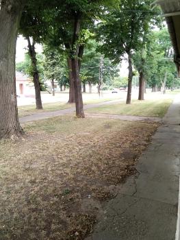 Citadela, Sombor (foto 4)