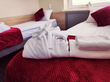 Automobil Hotel, Cracovie (photo 4)