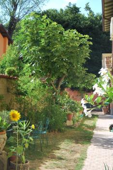 Bergamo Bassa, Bergamo (photo 5)