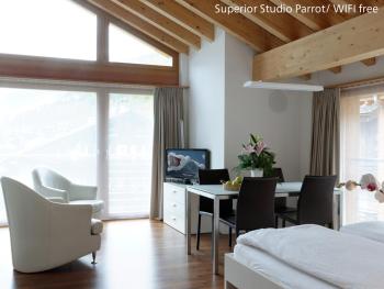 Zermatt Appartements, Zermatt (fotografie 5)