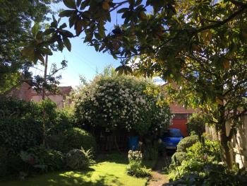 Square Tree House Hotel, Liverpool (Foto 3)