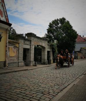 Perfect stay in Old Town with Parking, Tallinn (photo 5)