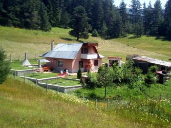 Tolem, Borino (foto 2)