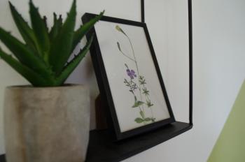 Oleander Rooms & Apartment, Sofia (Foto 4)