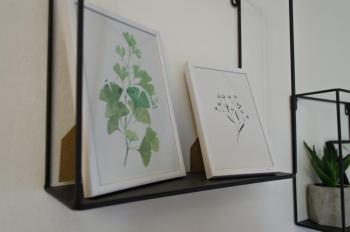 Oleander Rooms & Apartment, Sofia (Foto 5)