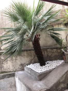 Nice Grand appartement face jardin, Nice (fotografie 2)