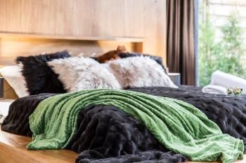 Nowy komfortowy Apartament & Spa Grizzly de lux, Zakopane (fotografie 3)