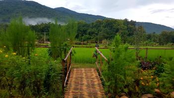 ฮ้างนาตาจันทร์, Pua (foto 5)